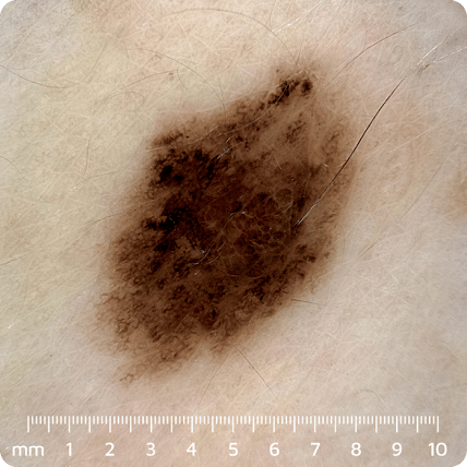 VEOS �����-�����������