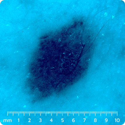 VEOS ����������������