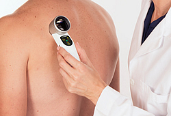 ������������ ������ �������