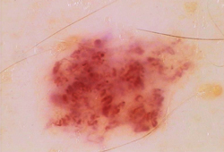 10-������� ���������� ��� ��������� �� ����� ���� ������