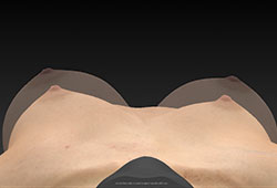 VECTRA XT: ��������� �����������