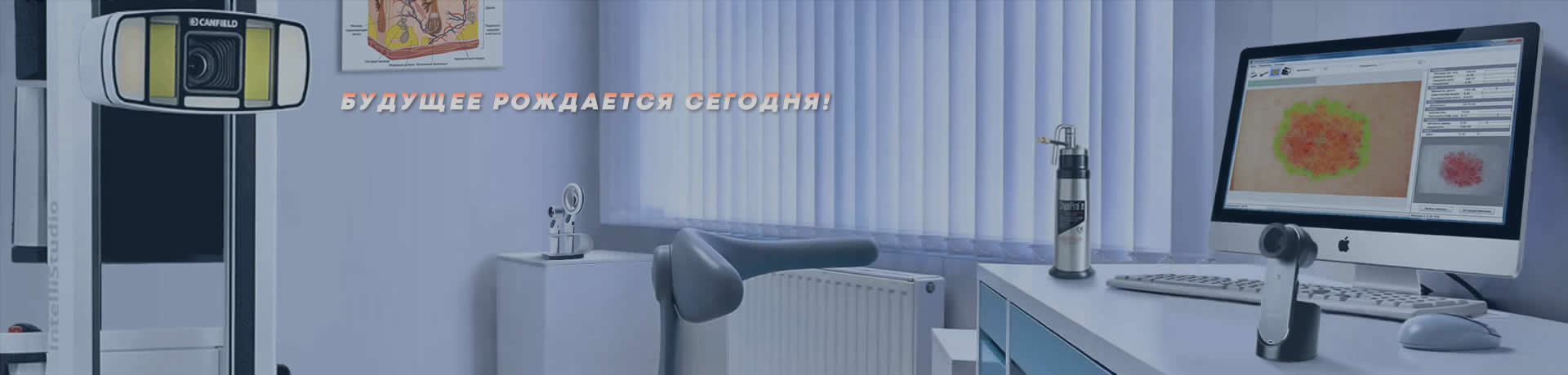 ������ ������� �����