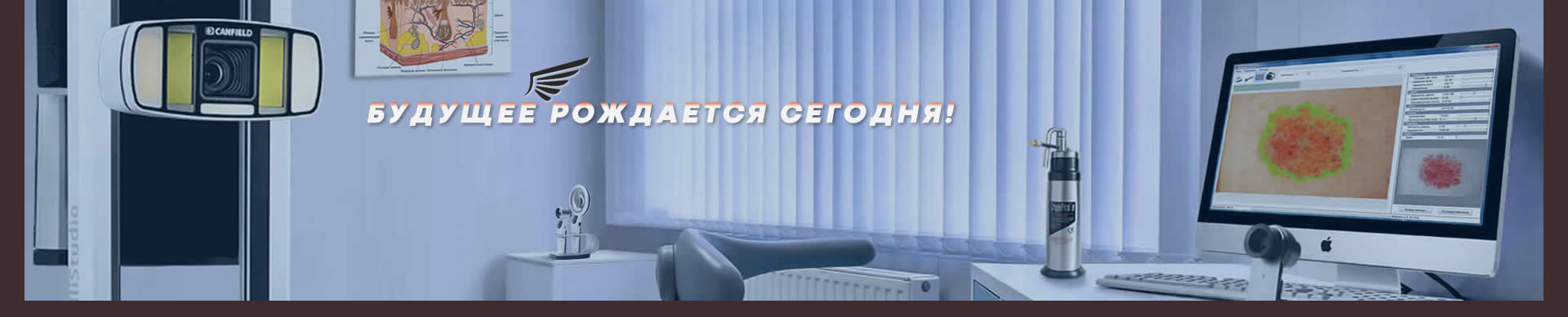 ������ ������� �����