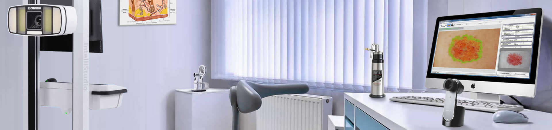 ������ ������� �����