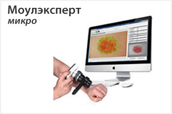 Программа MoleExpert