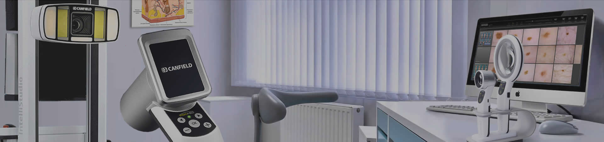 ������ ������������ Canfield