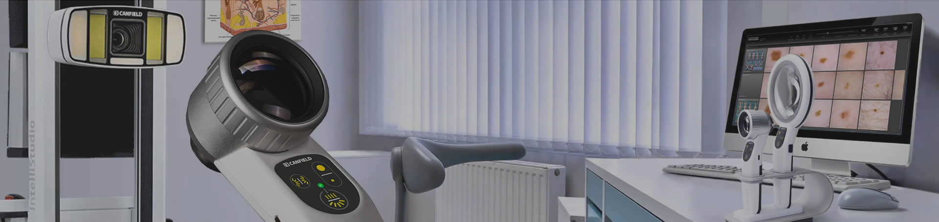 ������ ������������ Canfield